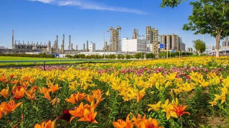 进口涂料树脂优缺点对比